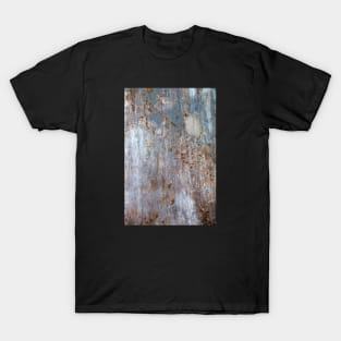 Old painted metal T-Shirt